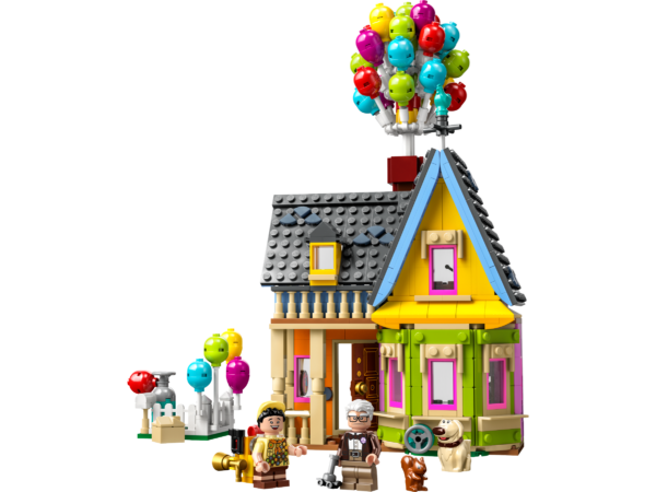 ‘Up’ House​