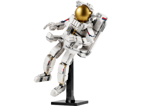 Space Astronaut