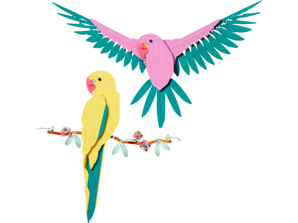 The Fauna Collection – Macaw Parrots